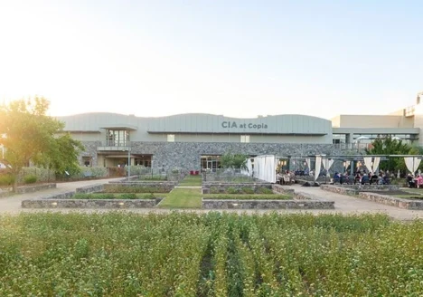 Wine Market Council 2025 Research Conference at Copia